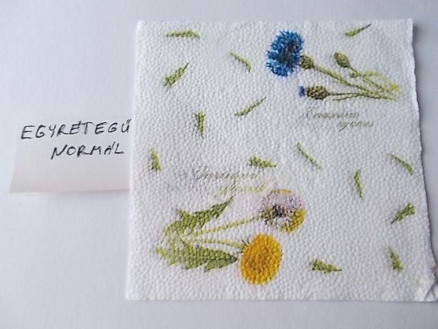 szalvta: PID29844.JPG