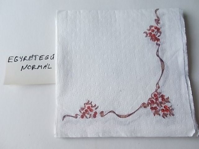 szalvta: PID29856.JPG