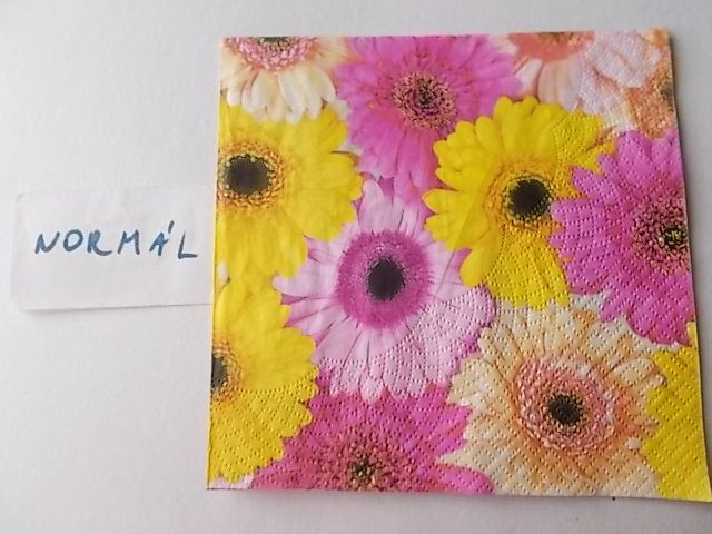 szalvta: PID30144.JPG