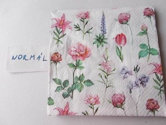 szalvta: PID30148.JPG