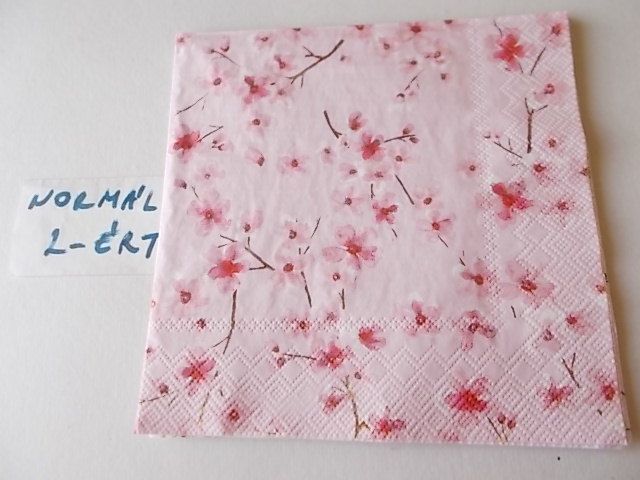 szalvta: PID30159.JPG