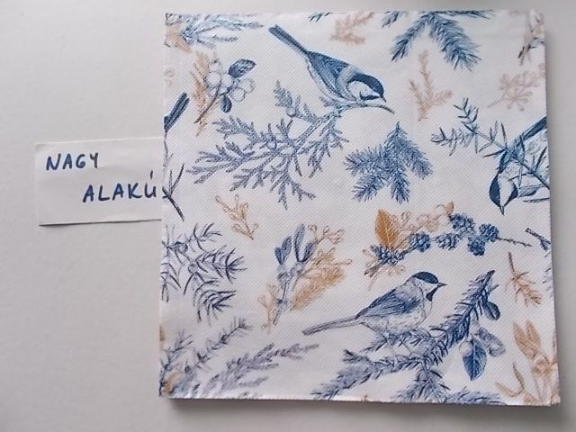 szalvta: PID30181.JPG