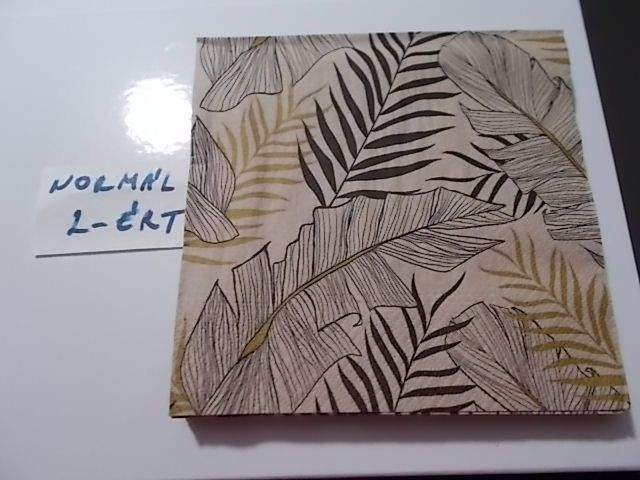 szalvta: PID30225.JPG