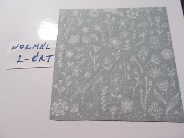 szalvta: PID30227.JPG