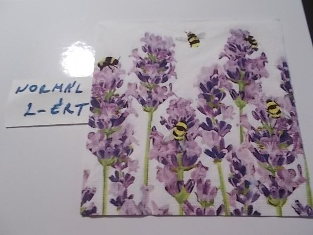 szalvta: PID30228.JPG