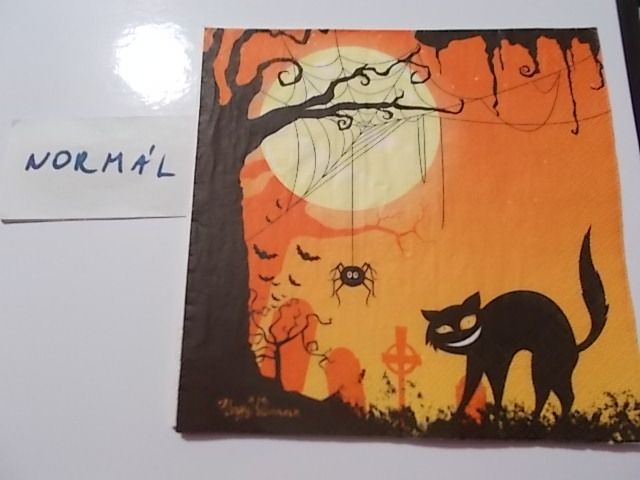 szalvta: PID30360.JPG