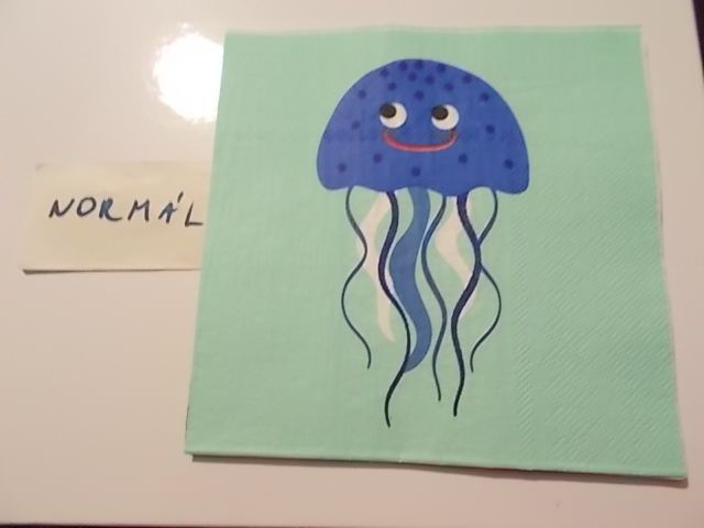 szalvta: PID30366.JPG