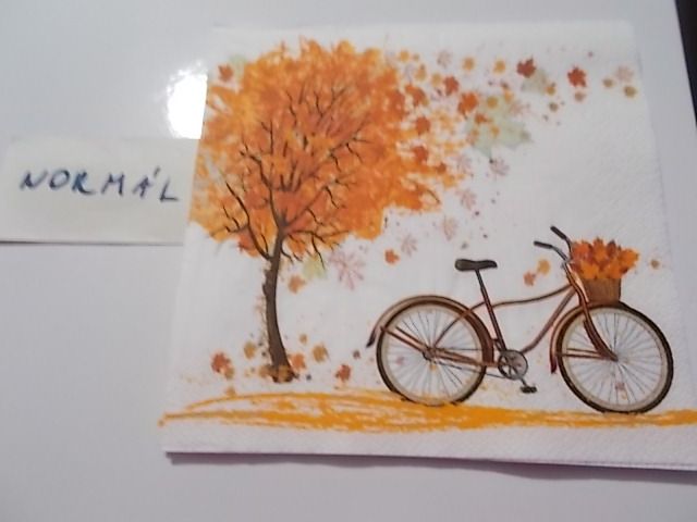 szalvta: PID30412.JPG