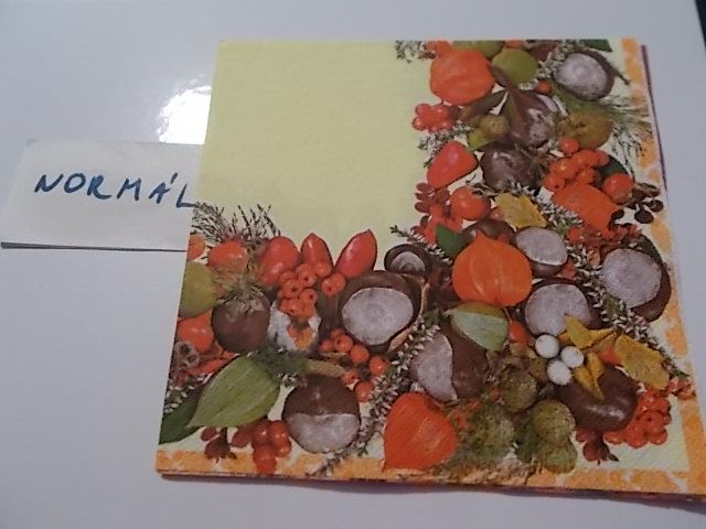 szalvta: PID30416.JPG