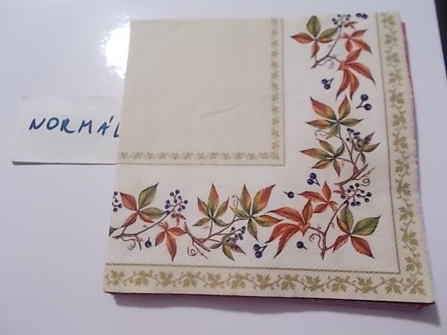 szalvta: PID30422.JPG