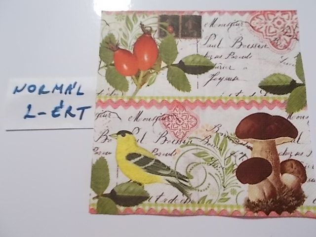 szalvta: PID30474.JPG