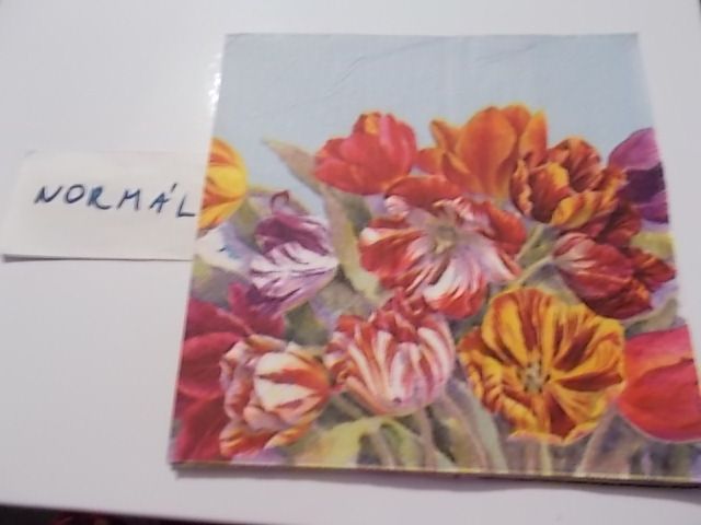 szalvta: PID30544.JPG