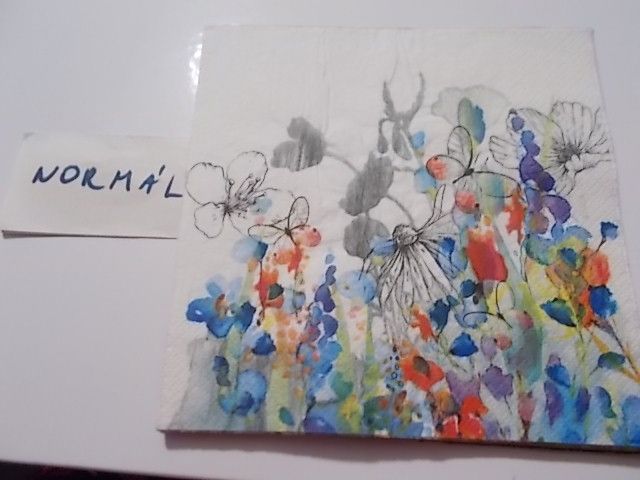 szalvta: PID30546.JPG