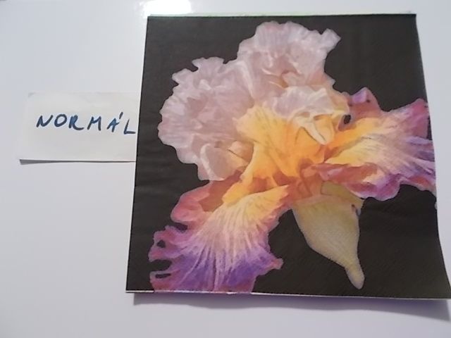 szalvta: PID30572.JPG