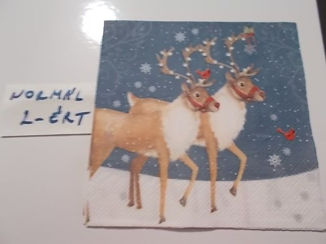 szalvta: PID30721.JPG