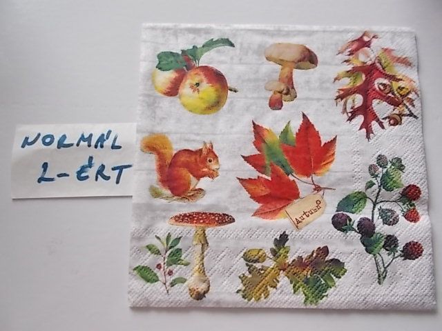 szalvta: PID30902.JPG