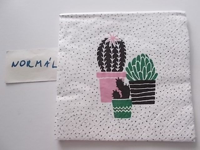 szalvta: PID30927.JPG