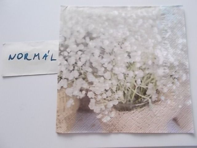 szalvta: PID30933.JPG