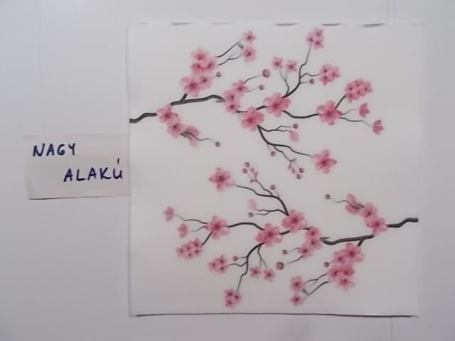 szalvta: PID30935.JPG