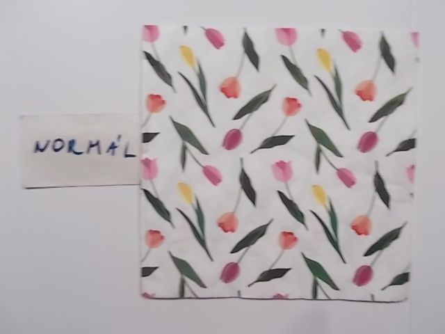 szalvta: PID30937.JPG