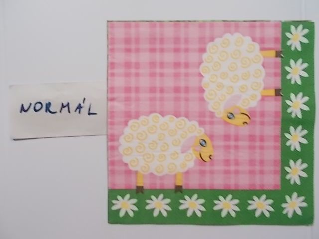 szalvta: PID30980.JPG