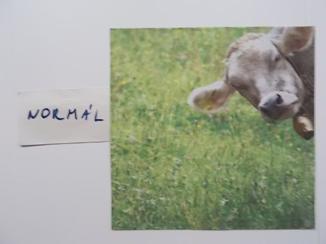 szalvta: PID30981.JPG