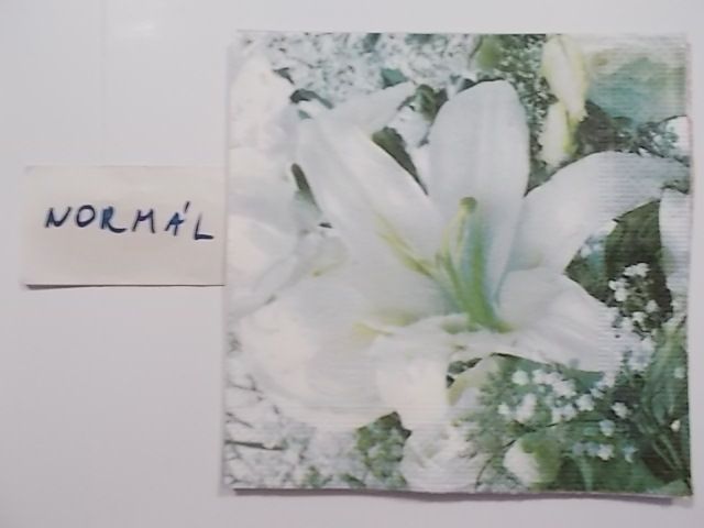 szalvta: PID30990.JPG