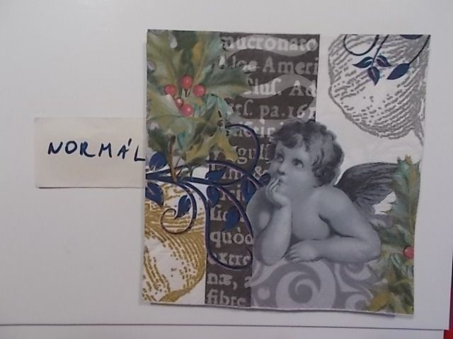 szalvta: PID31035.JPG