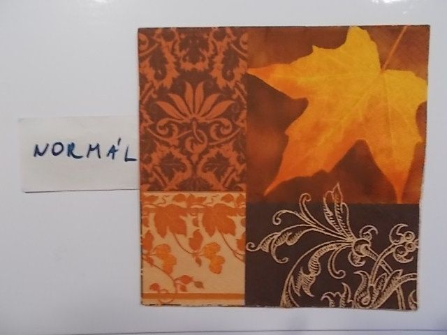 szalvta: PID31038.JPG