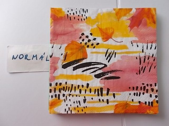 szalvta: PID31066.JPG