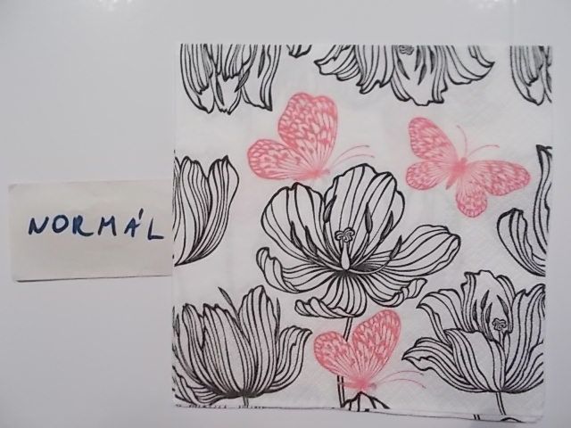 szalvta: PID31102.JPG