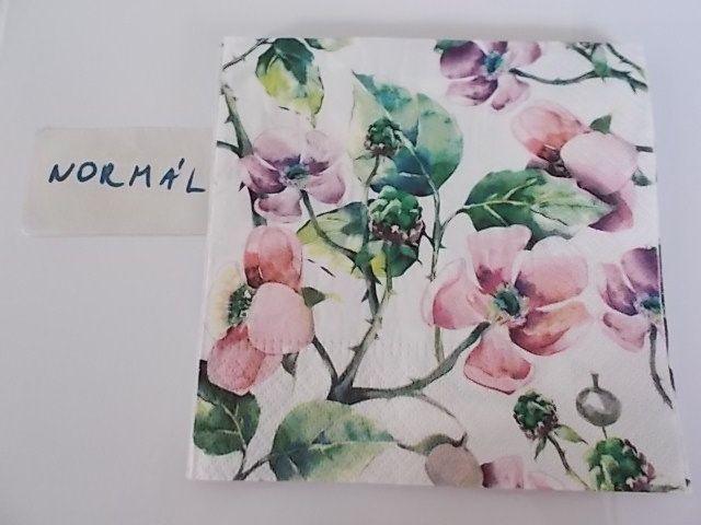 szalvta: PID31125.JPG