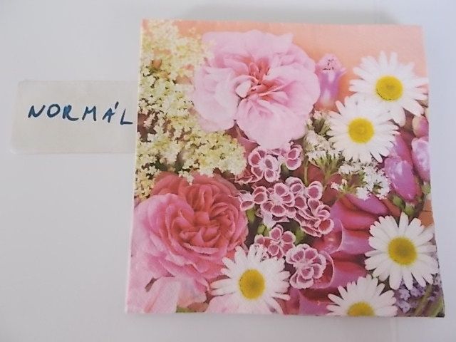 szalvta: PID31126.JPG