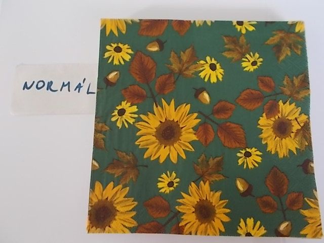 szalvta: PID31128.JPG