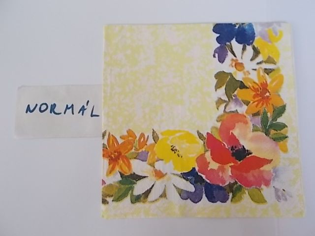 szalvta: PID31138.JPG