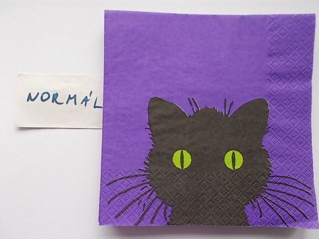 szalvta: PID31189.JPG