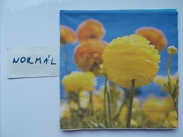 szalvta: PID31215.JPG