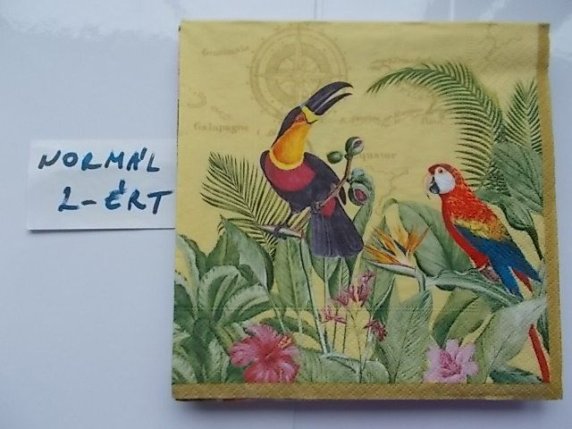 szalvta: PID31224.JPG