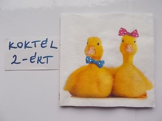 szalvta: PID31245.JPG