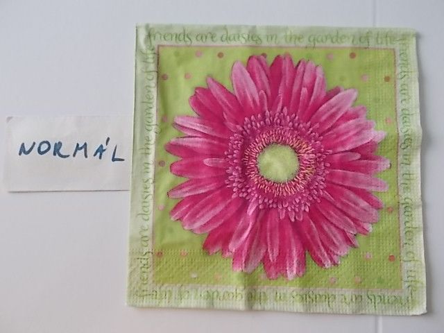 szalvta: PID31266.JPG