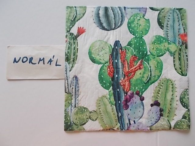 szalvta: PID31275.JPG