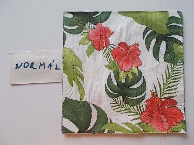 szalvta: PID31276.JPG