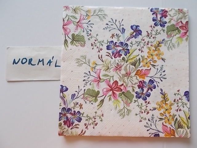 szalvta: PID31278.JPG