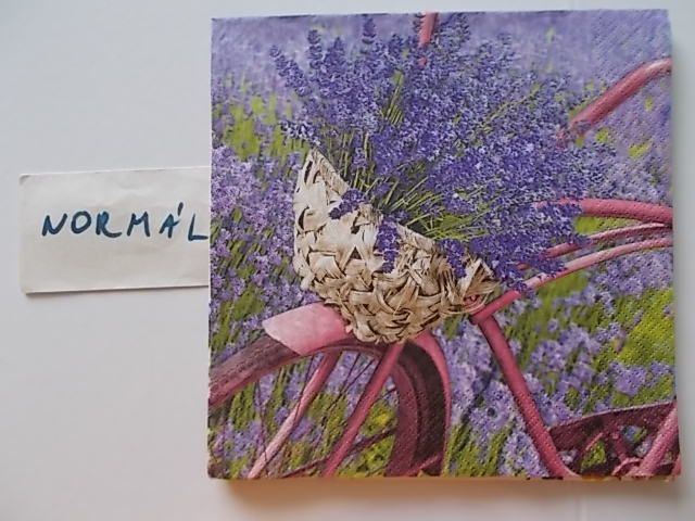 szalvta: PID31279.JPG