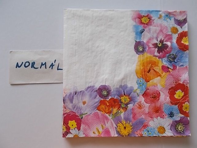 szalvta: PID31281.JPG