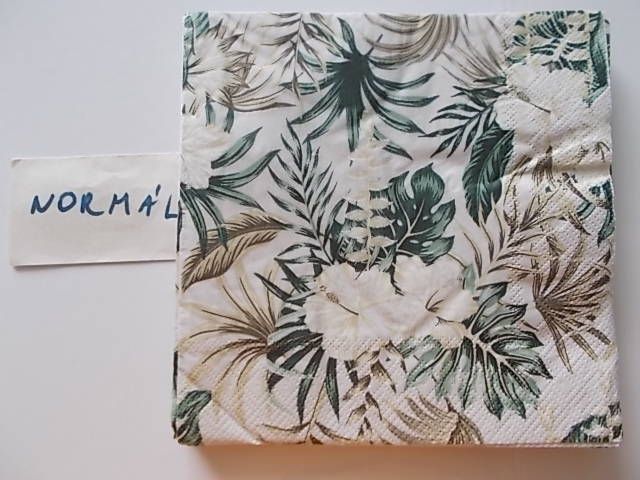 szalvta: PID31284.JPG