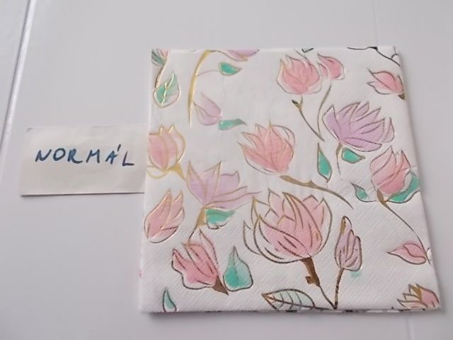 szalvta: PID31308.JPG