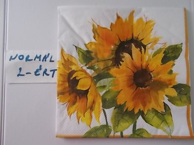 szalvta: PID31312.JPG