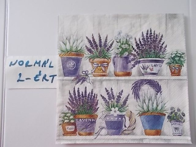 szalvta: PID31313.JPG