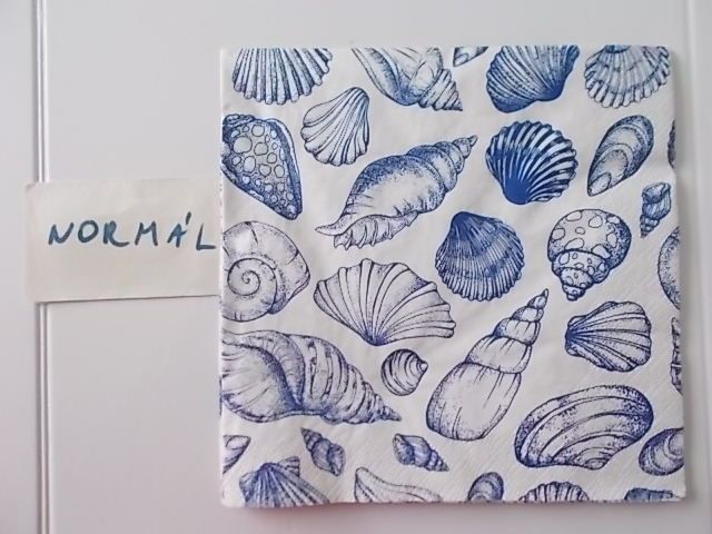 szalvta: PID31318.JPG